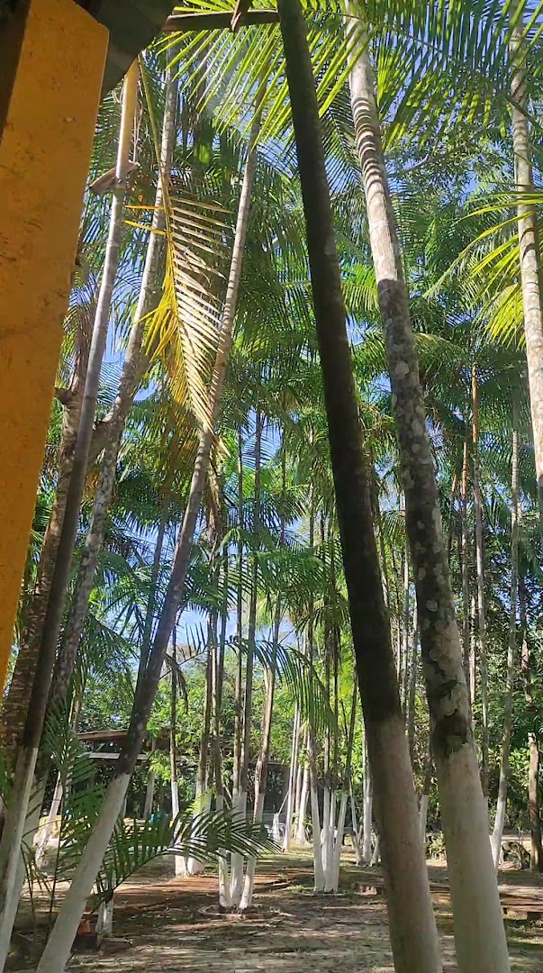 Pousada De Camping Ilha Grande - Image 2