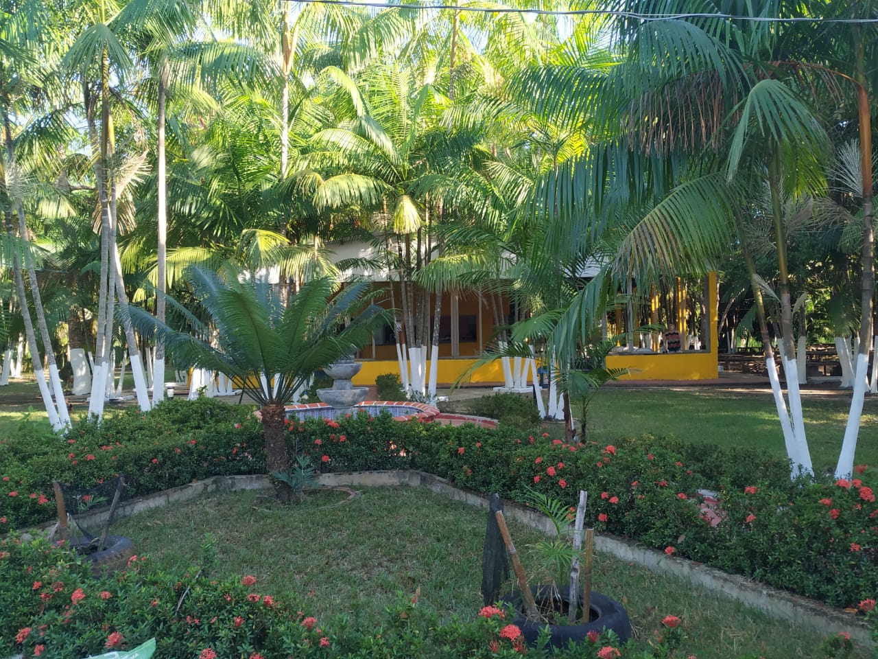 Pousada De Camping Ilha Grande - Image 4