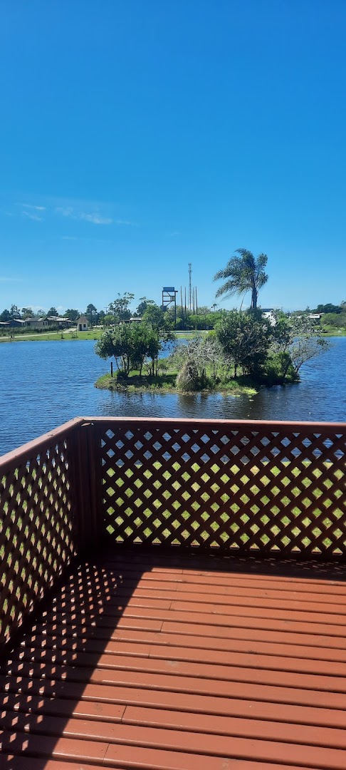 Sítio Agroecológico Serra e Mar - Main Image