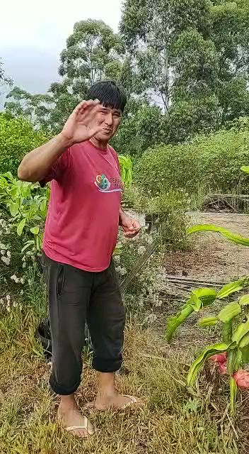 Sítio Agroecológico Serra e Mar - Image 2