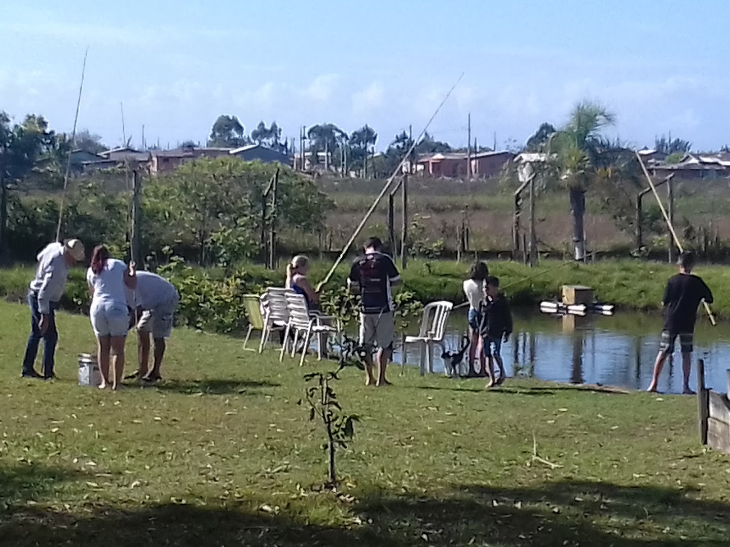 Sítio Agroecológico Serra e Mar - Image 5