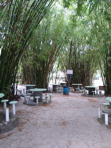 Camping Palmas das Gaivotas - Image 4