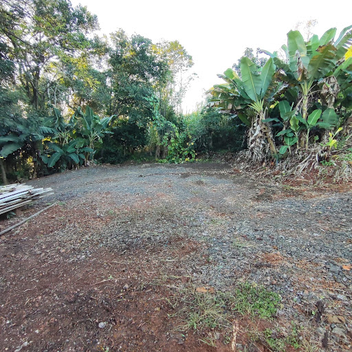 Camping Bruto Móvel - Image 3