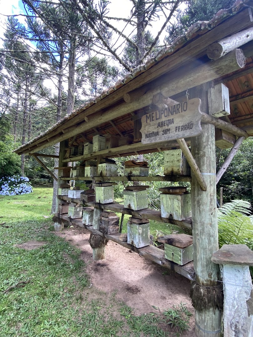 Arroio do Engenho - Image 5