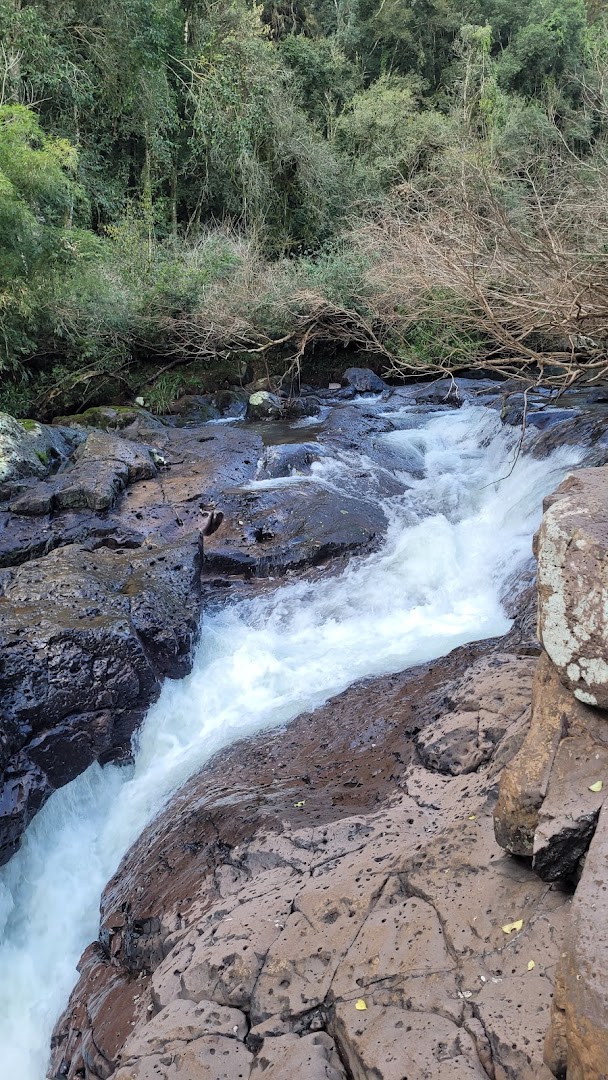 Lisot Park - Main Image