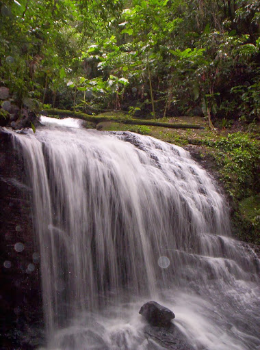 Fazenda Schacht - Image 2