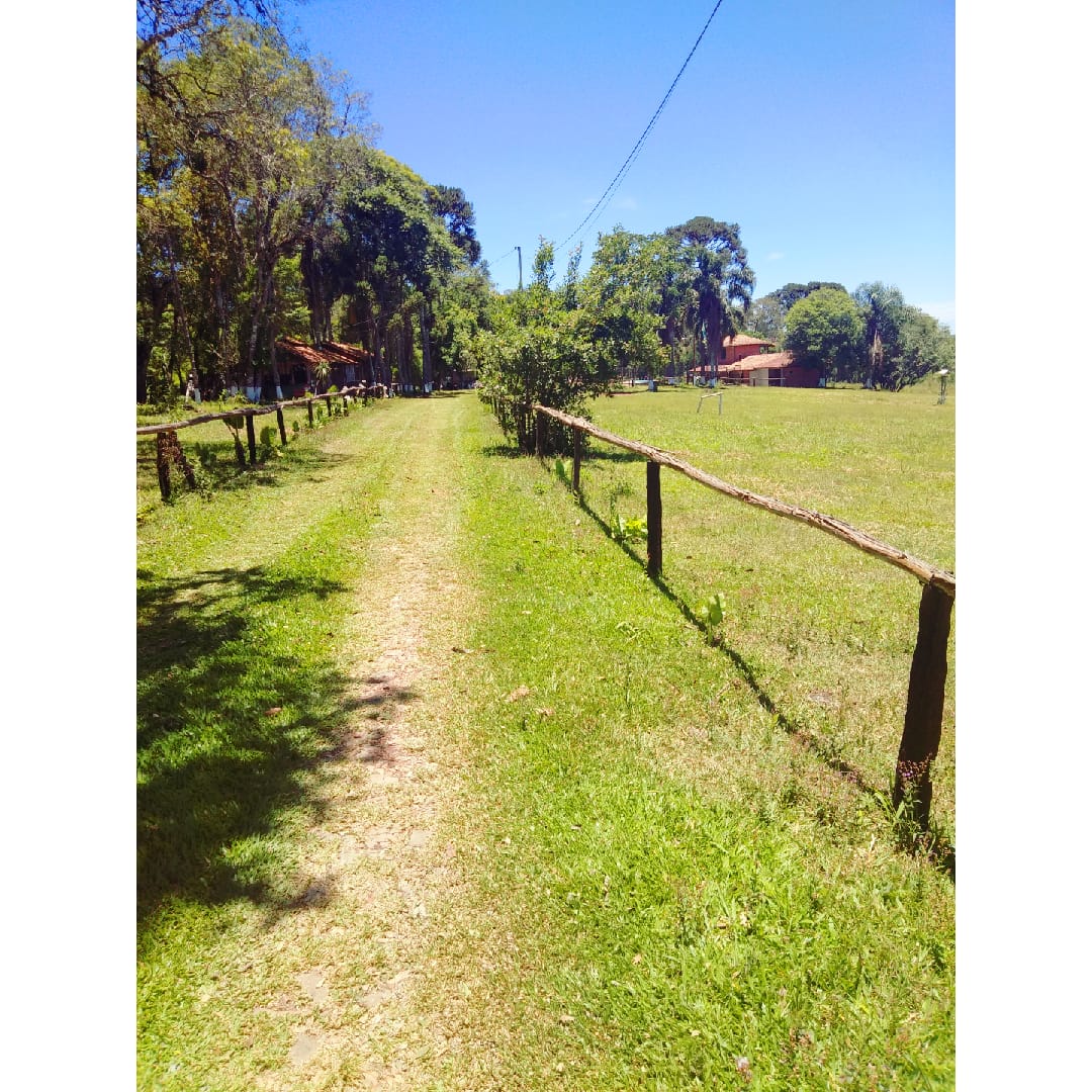 Chacrinha das Palmeiras - Image 2