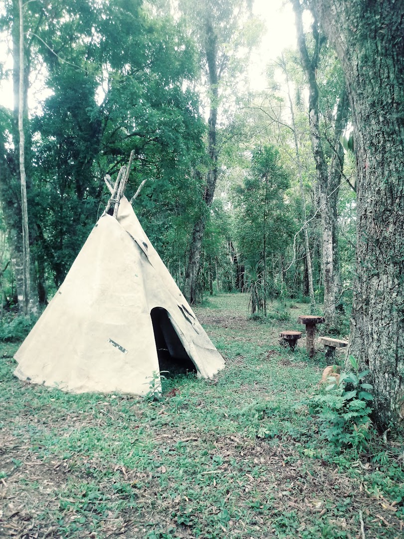 Chacrinha das Palmeiras - Image 5