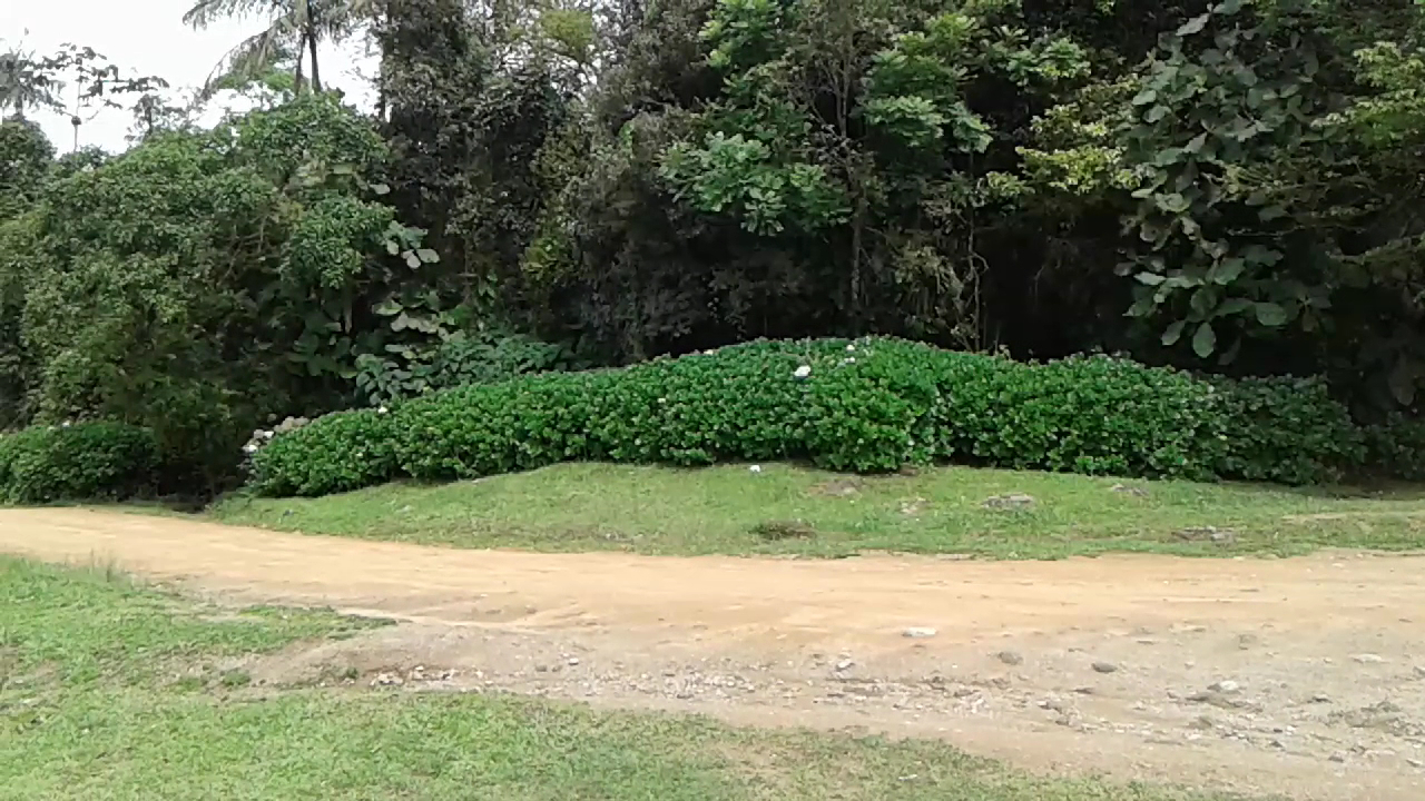 Parque Natural Municipal Freymund Germer (MORRO AZUL) - Image 2