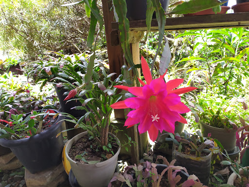 Sitio Colina - Image 3