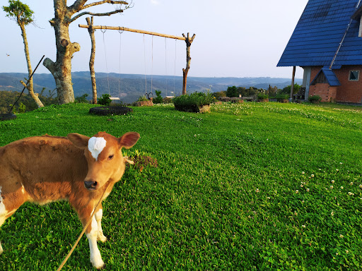 Sitio Colina - Image 4