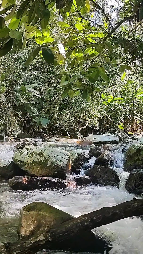 Restaurante Dias - Image 2