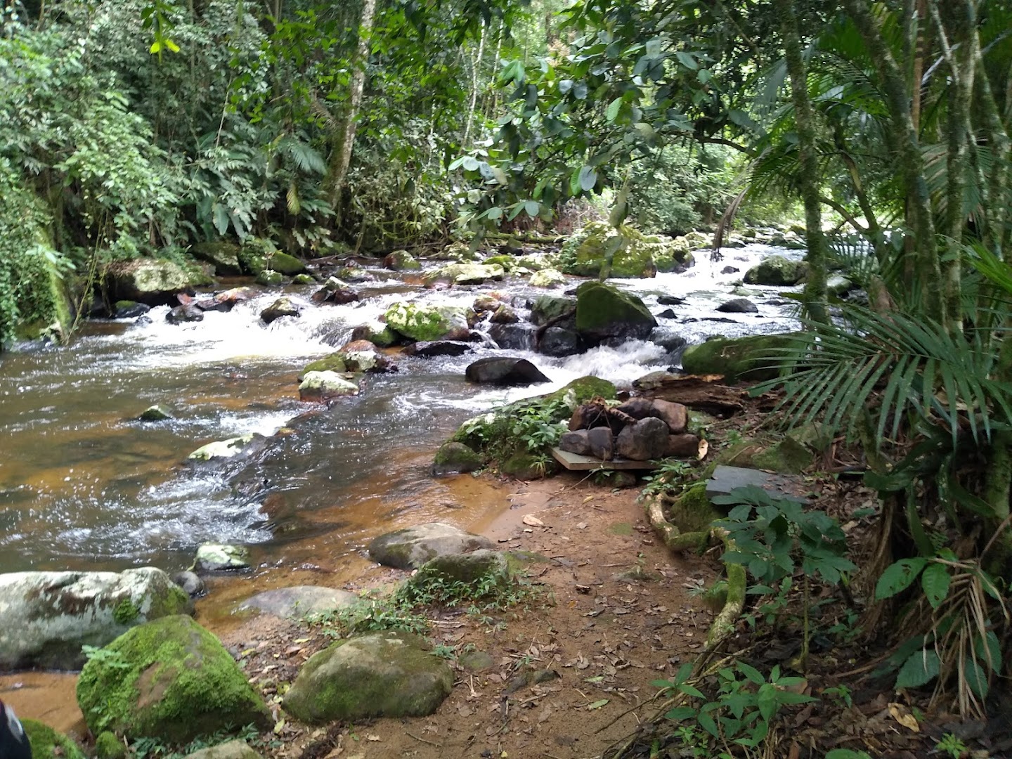 Restaurante Dias - Image 3