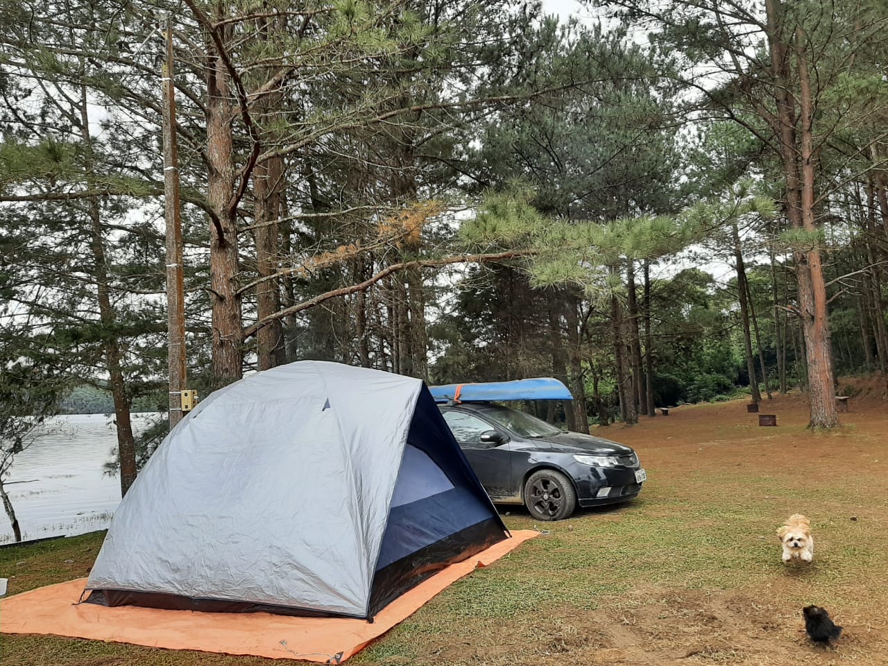 Pousada e Camping Ilha do Sul - Image 5