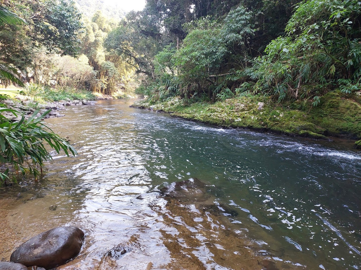 Recanto Silvestre - Image 5