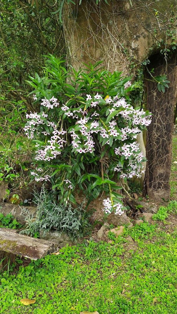 Camping Espaço Bom Voo - Image 4