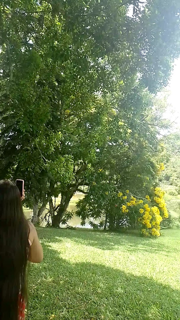 Pousada Quinta Dourada - Image 5