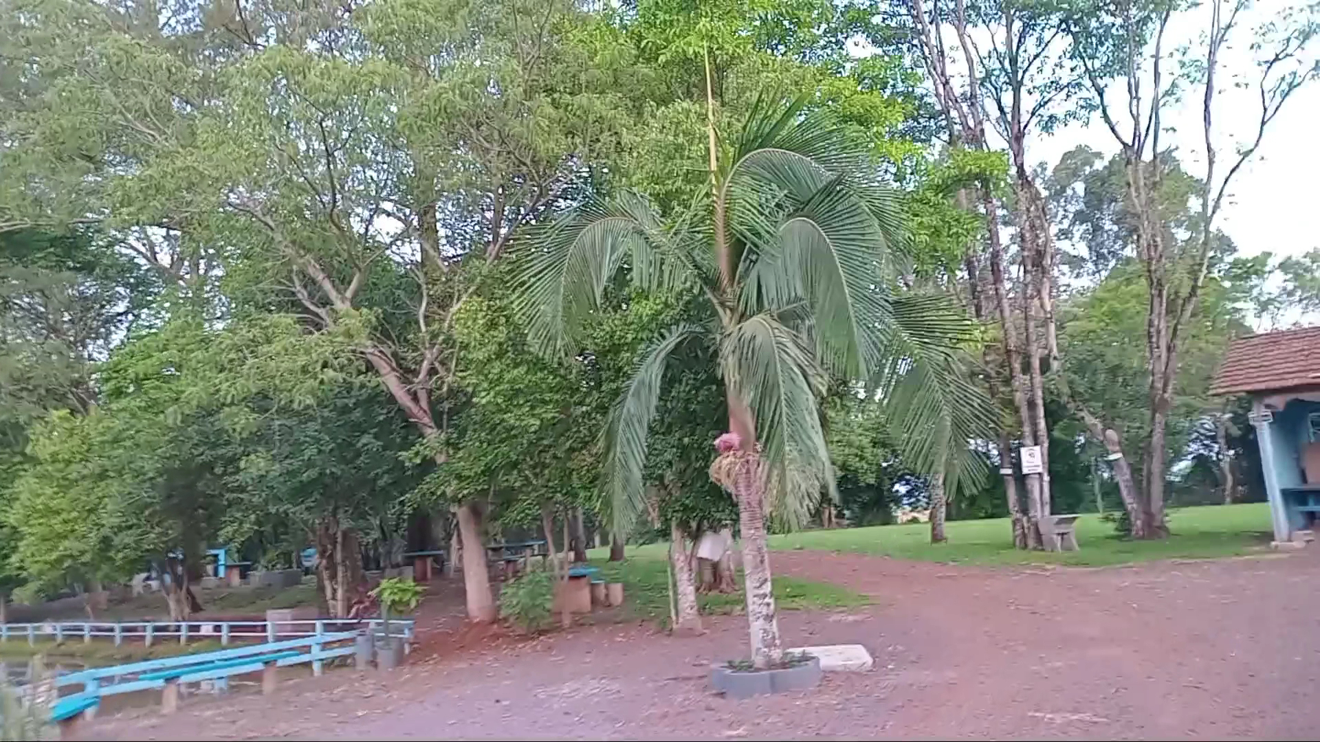 Camping decol - Image 2