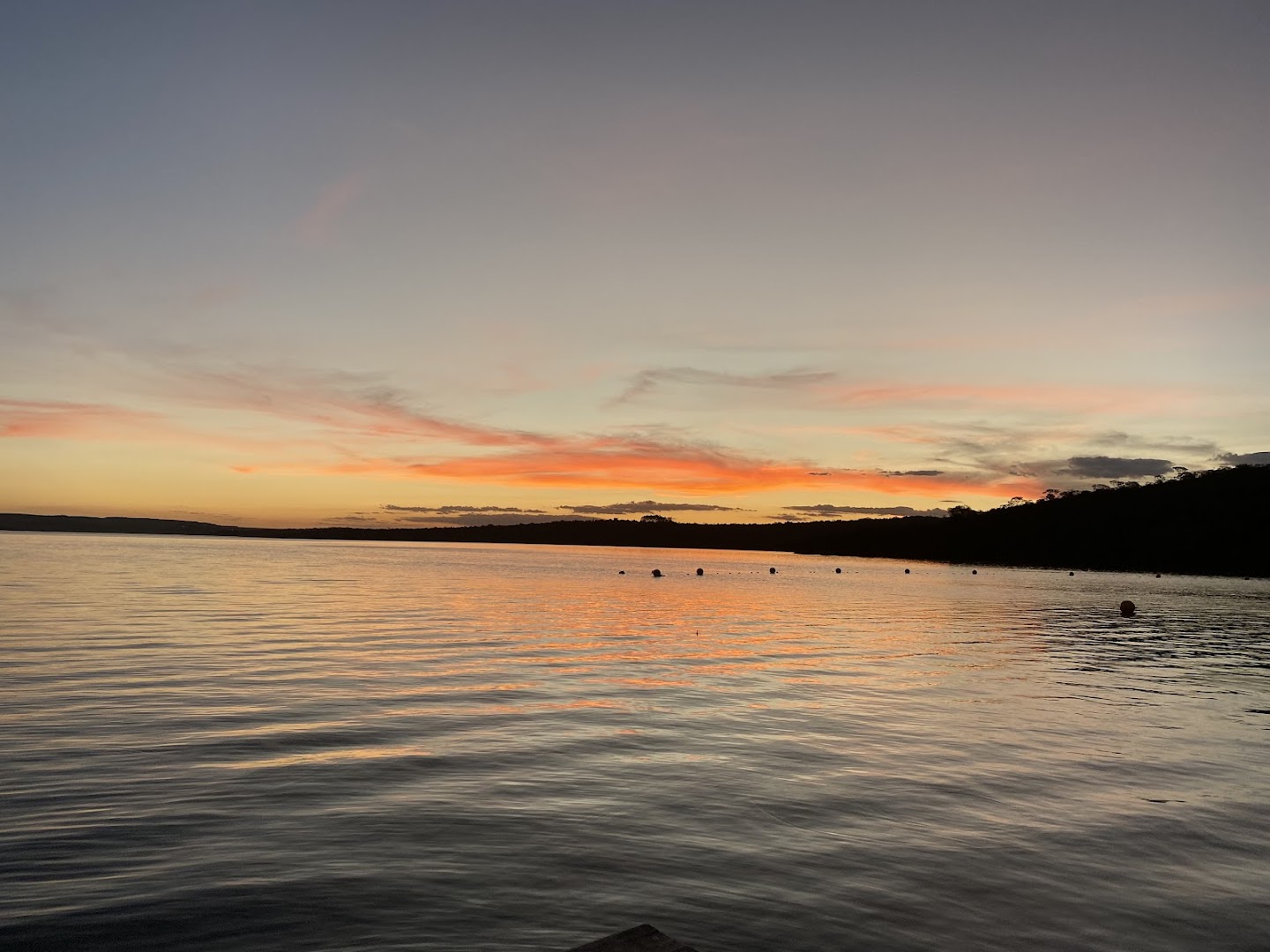 Terra Nova - Main Image