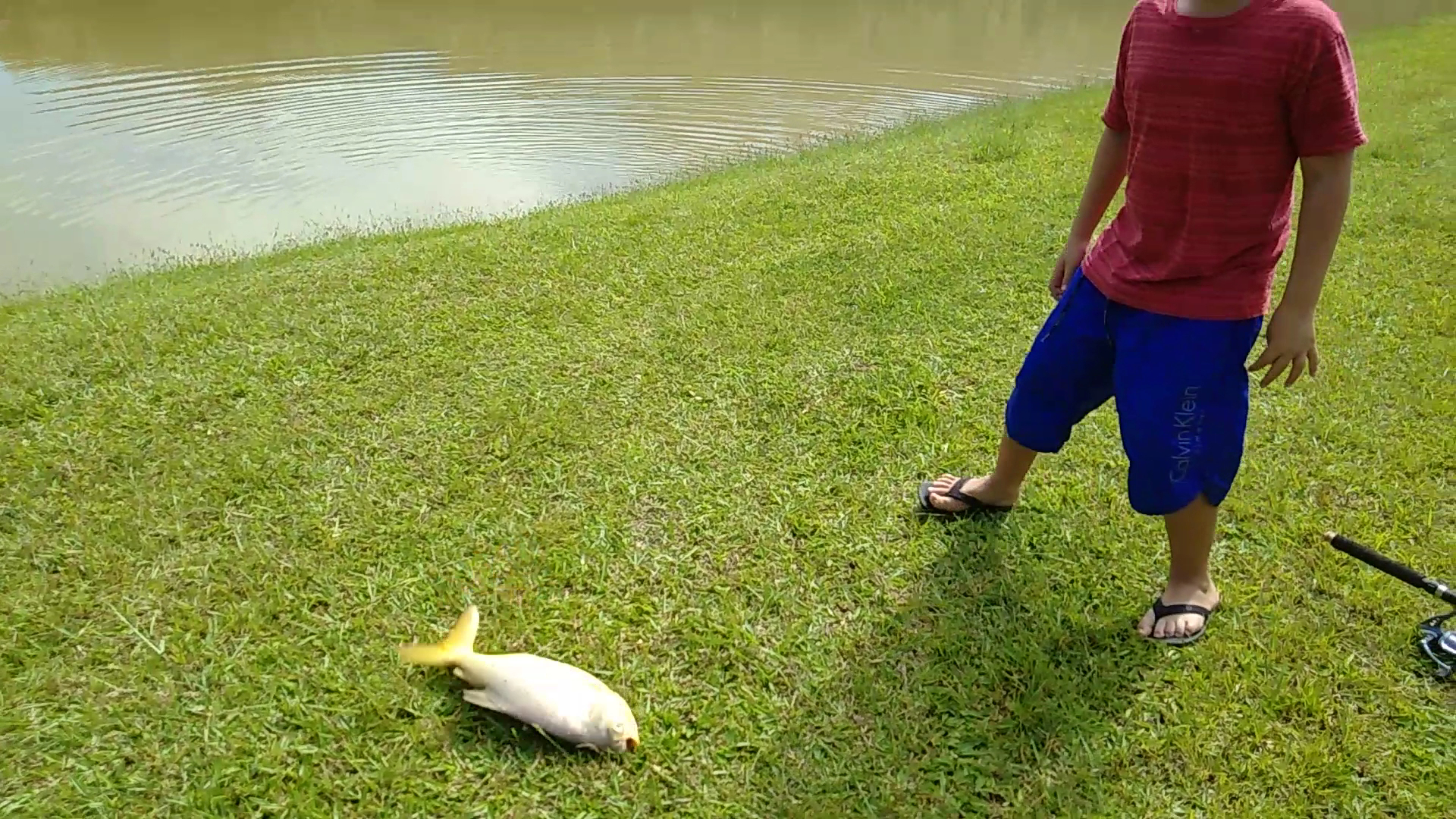 Parque Recanto dos Anjos - Image 2