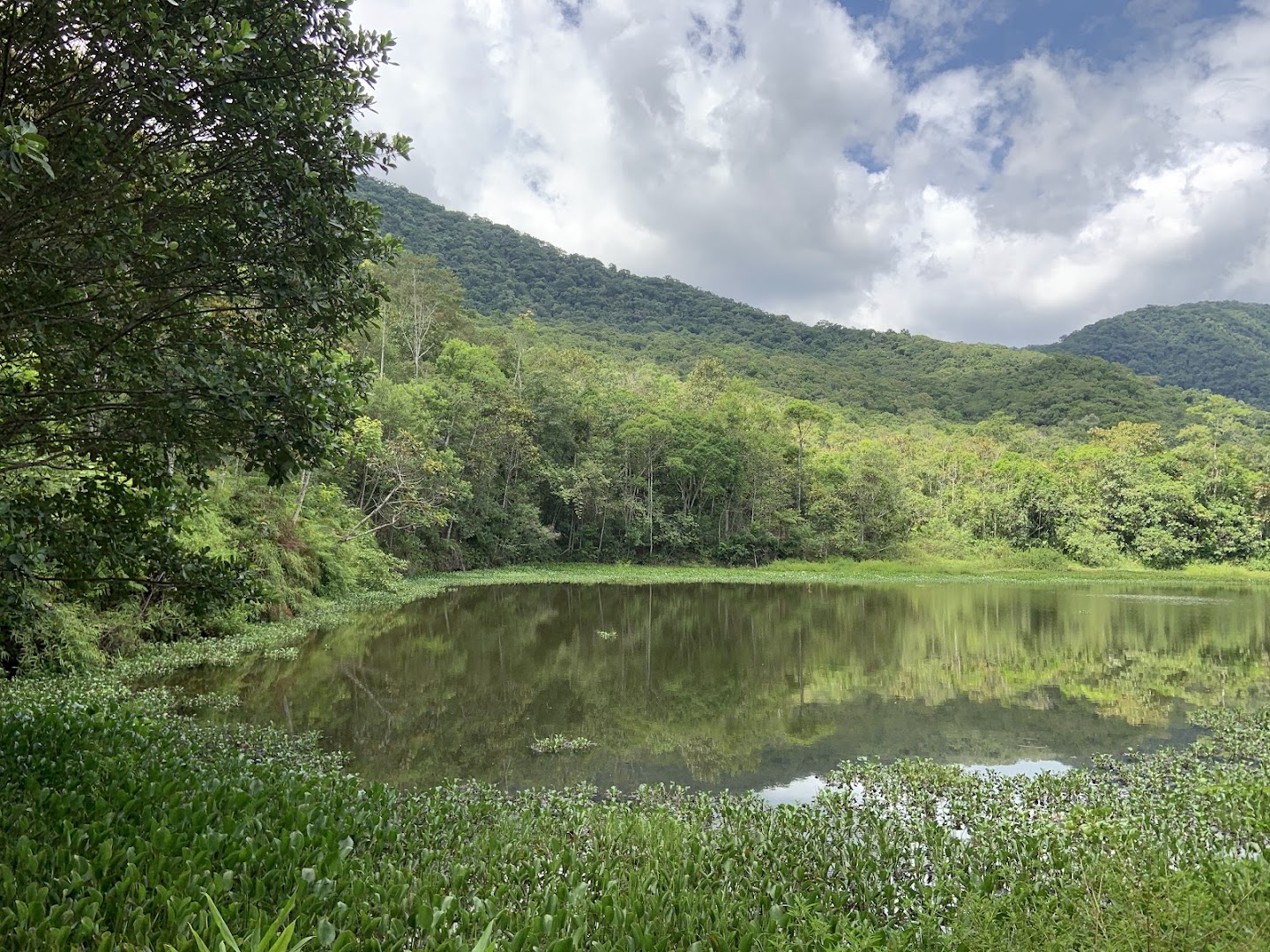 Parque Natural Municipal Nascentes do Garcia - Main Image