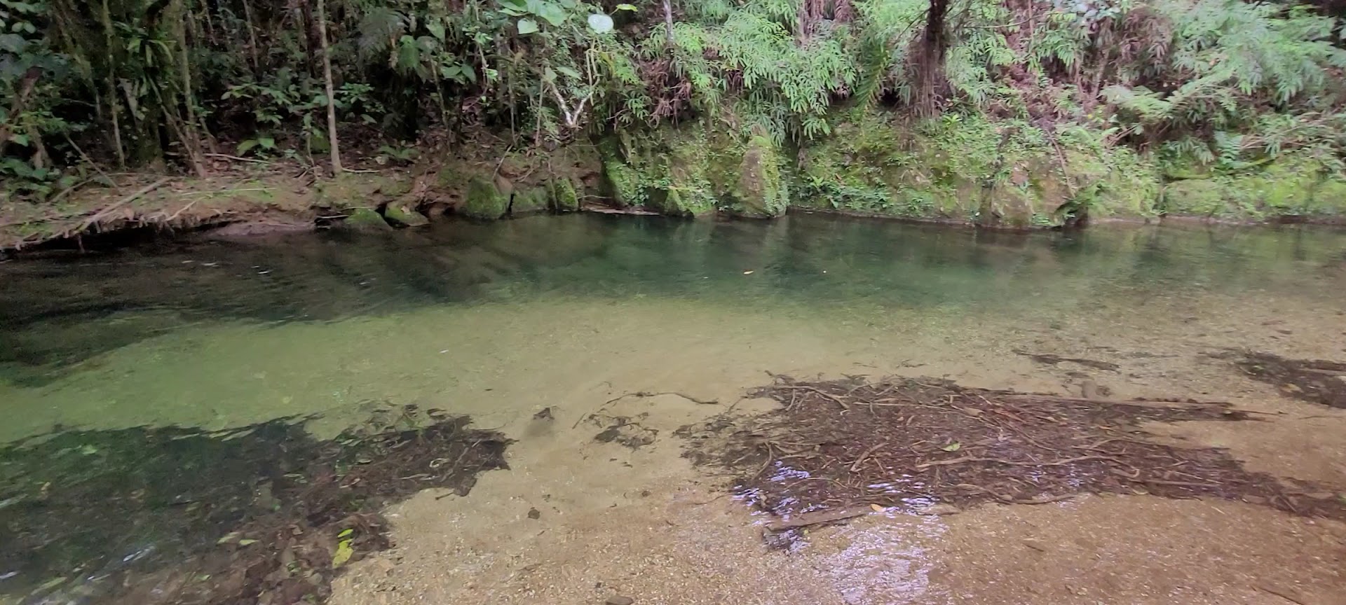 Parque Natural Municipal Nascentes do Garcia - Image 2