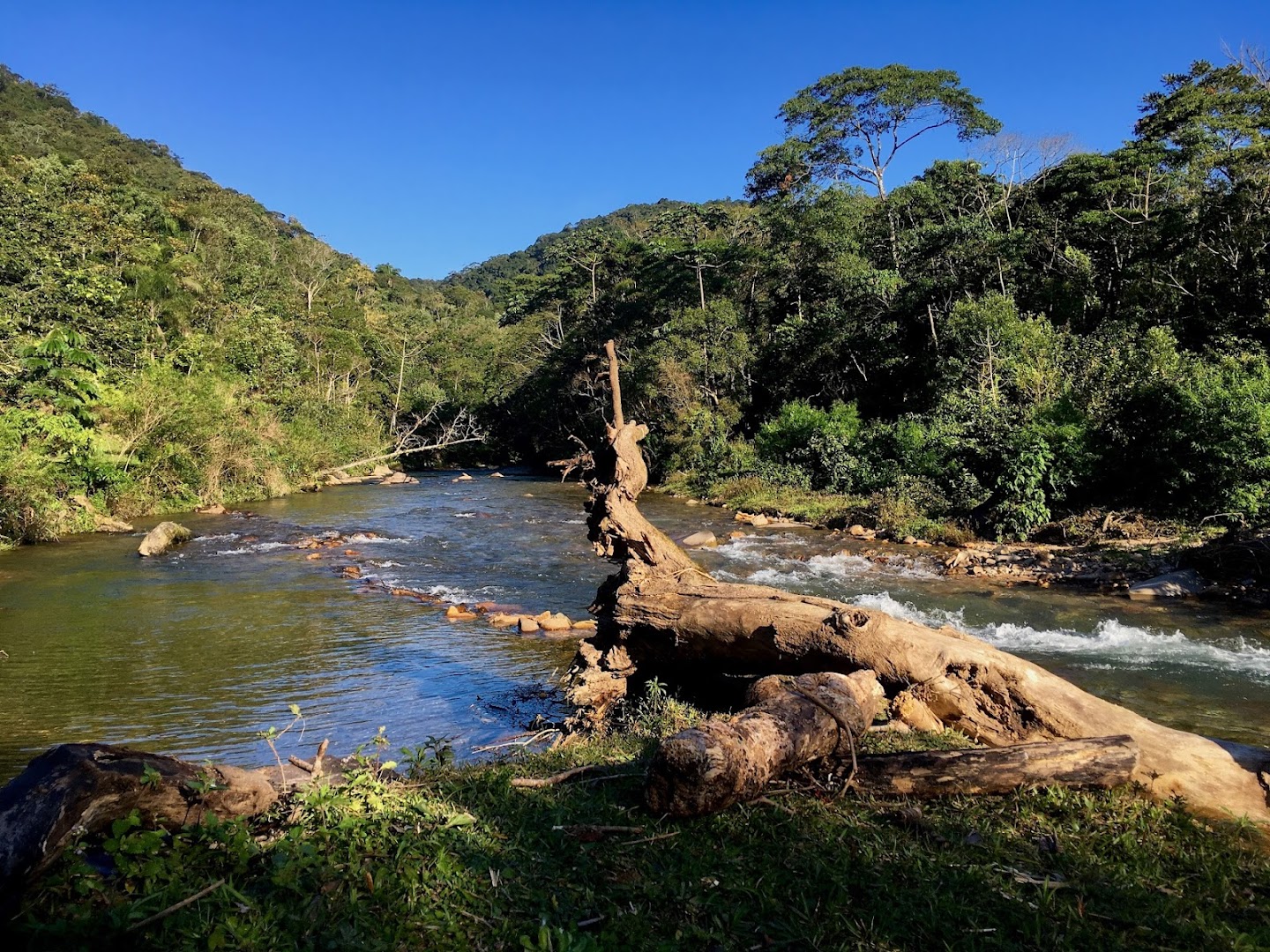 Parque Natural Municipal Nascentes do Garcia - Image 3