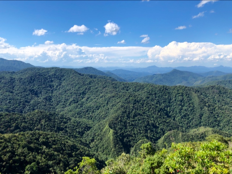 Parque Natural Municipal Nascentes do Garcia - Image 4