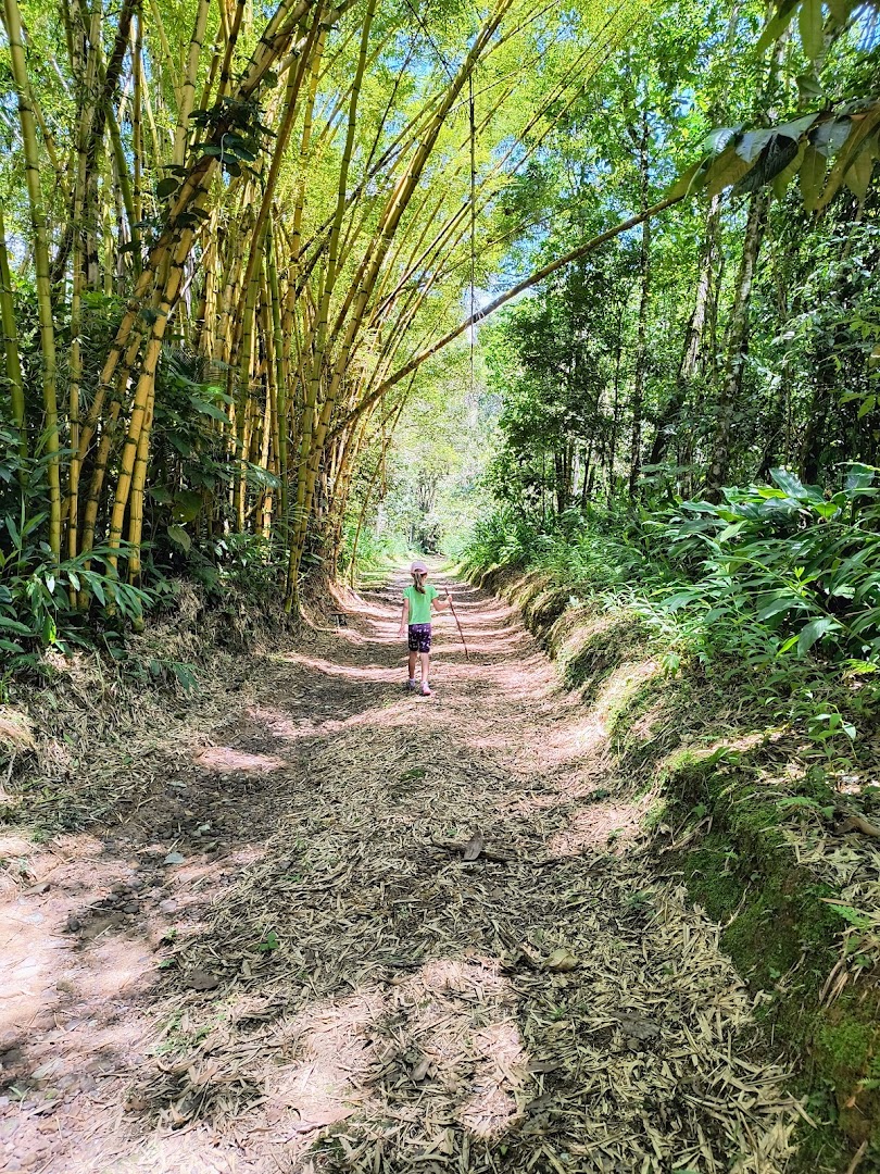 Parque Natural Municipal Nascentes do Garcia - Image 5