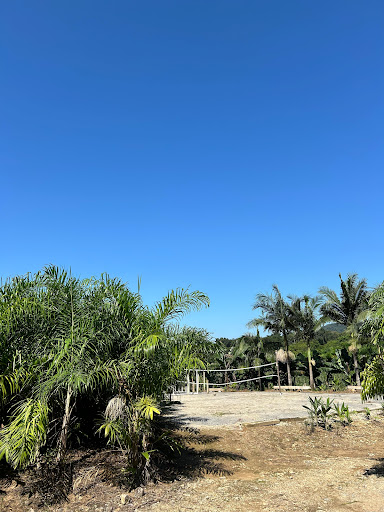 Bom Lazer - Pesque Pague e Área de Camping - Image 3