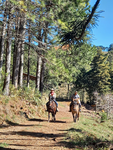 Camping Roça Velha - Image 3