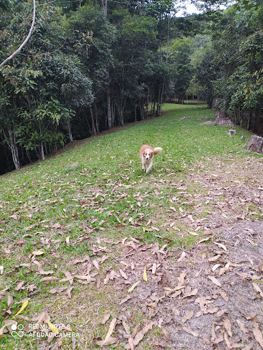 Camping e Cabanas Agua do Mato - Image 4