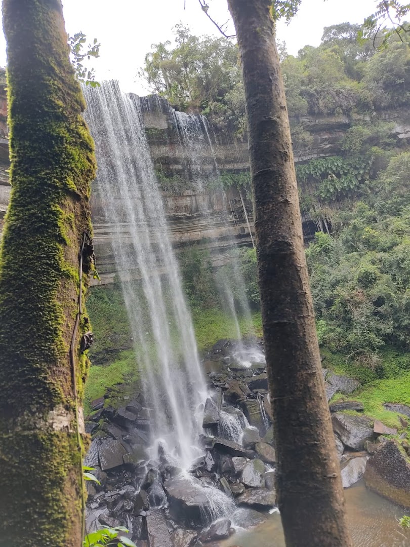 Cachoeira Paulista Adventure Park - Image 3