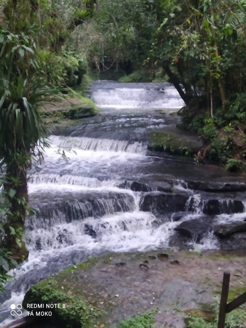Cachoeira Paulista Adventure Park - Image 5
