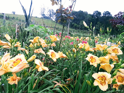 Pousada Recanto dos pássaros - Image 3