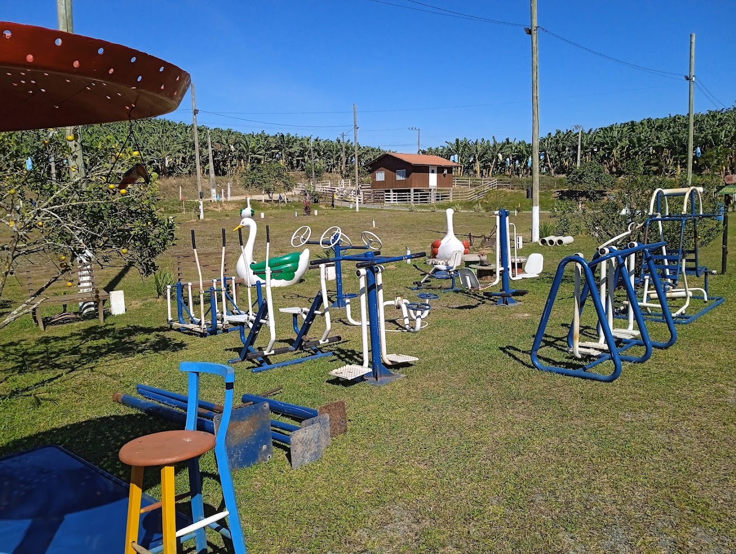 Camping Paraíso Rural - Main Image