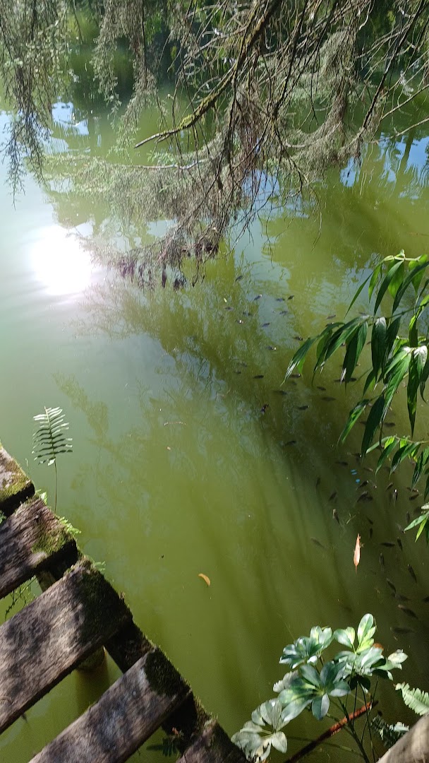 Recanto das Palmeiras - Image 2