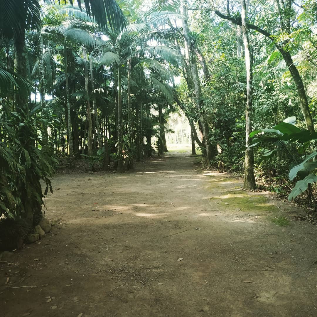 Recanto das Palmeiras - Image 3