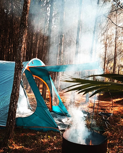 CAMPING FAMILIA RIFFEL - Main Image