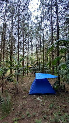 CAMPING FAMILIA RIFFEL - Image 2