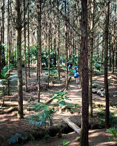 CAMPING FAMILIA RIFFEL - Image 3