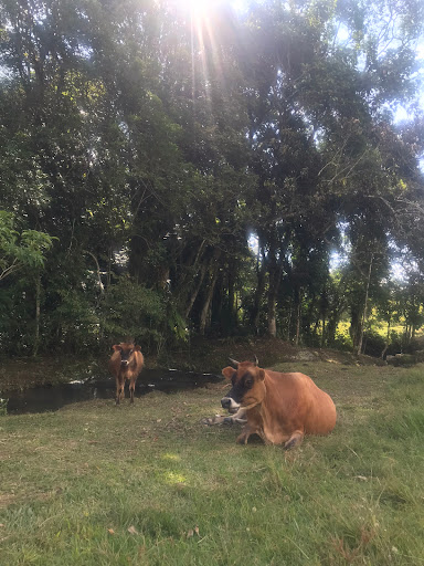 Camping Cabana Recanto Vó Santinha - Image 4
