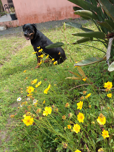 Rancho dos Matutos Pousada & Camping - Image 2
