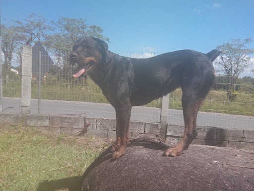 Rancho dos Matutos Pousada & Camping - Image 3