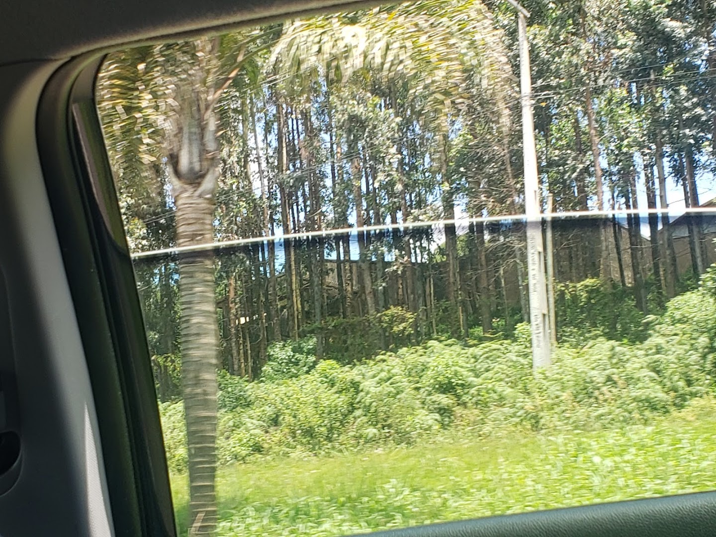 Area de Lazer - Image 5