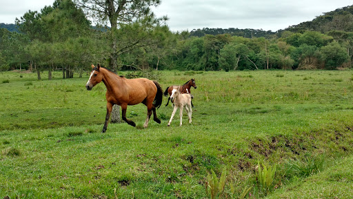 Cabanha Mauê - Main Image