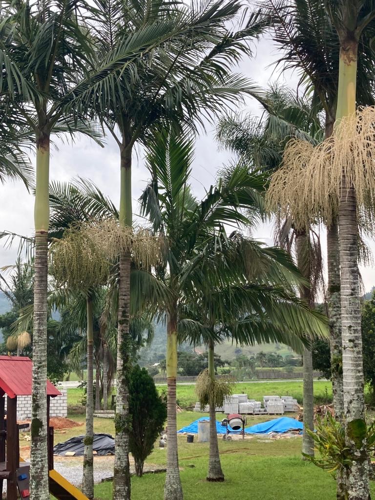 Apoema Camping. - Image 4