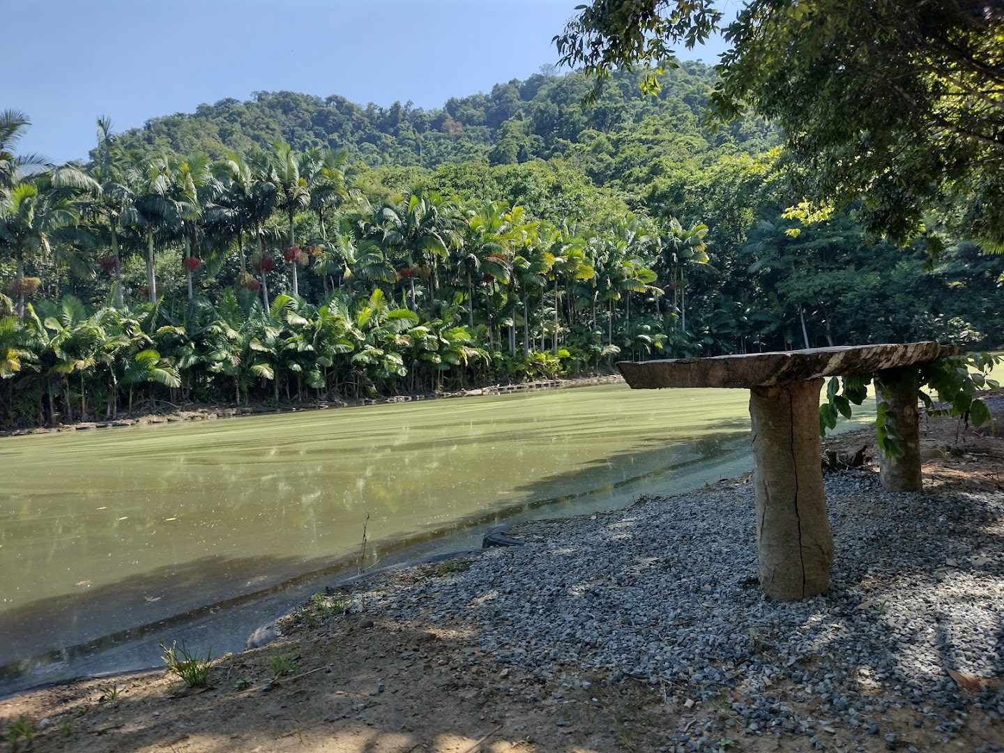 Caninanas Camping Bar - Image 2