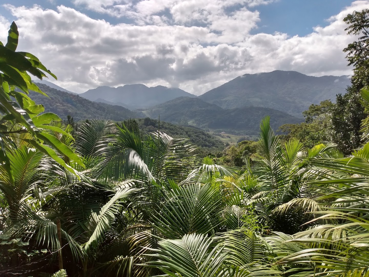 Caninanas Camping Bar - Image 4