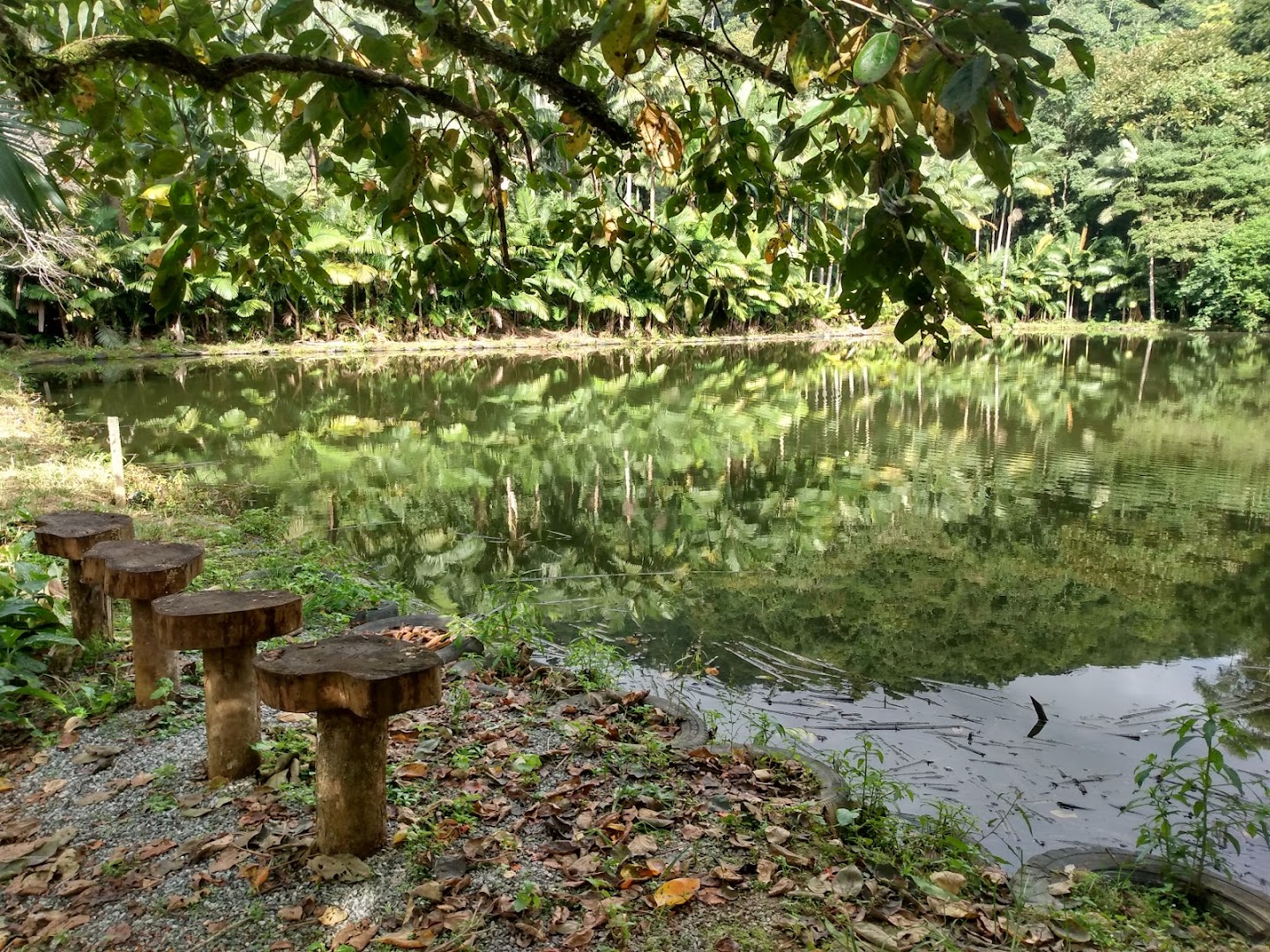 Caninanas Camping Bar - Image 5